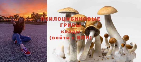 гашик Покачи