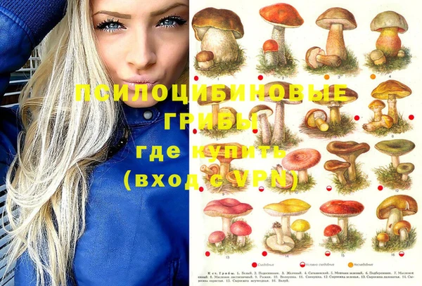 apvp Алзамай