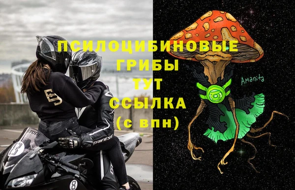 apvp Алзамай