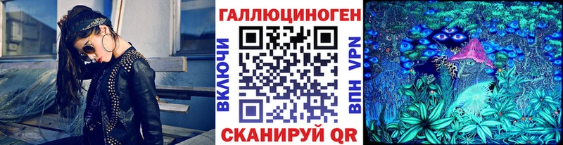 Псилоцибиновые грибы Psilocybine cubensis Ардатов