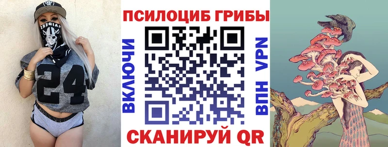 Псилоцибиновые грибы Psilocybine cubensis Ардатов